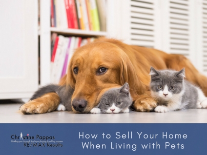 Mayfield Heights OH Homes - Know the must-dos of getting your pet-friendly Mayfield Heights OH home sell-ready.
