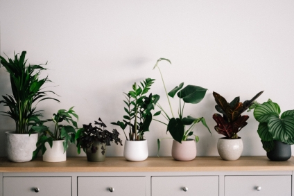 10 Things You May Not Know About your Apartment’s Indoor Air Quality