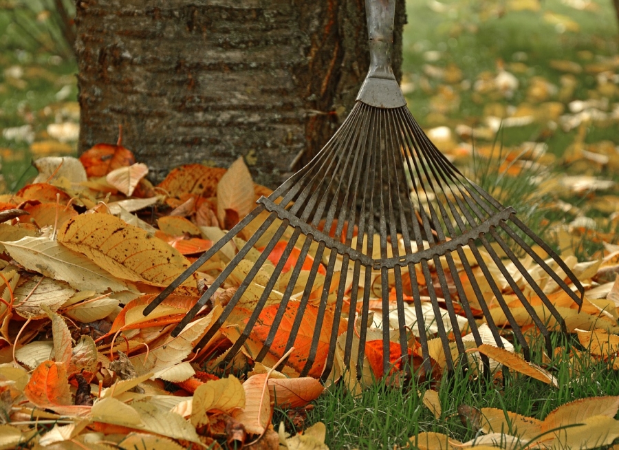 8 Things You Can Do To Prepare Your House During the Fall