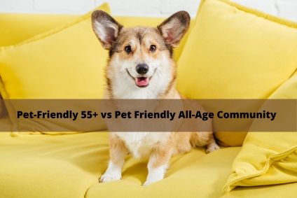 Pet-Friendly 55+ vs Pet-Friendly All Age Community