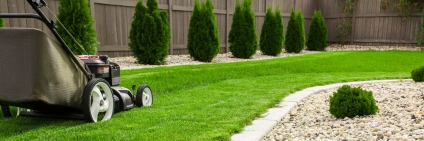 9 Lawn Care And Maintenance Tips For Busy Homeowners
