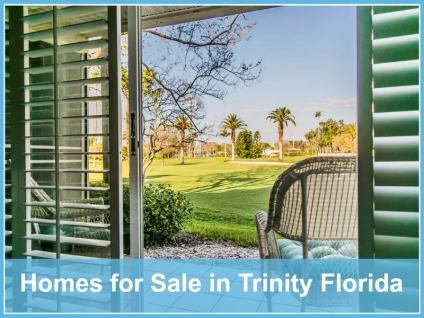 Homes for Sale in Trinity Florida