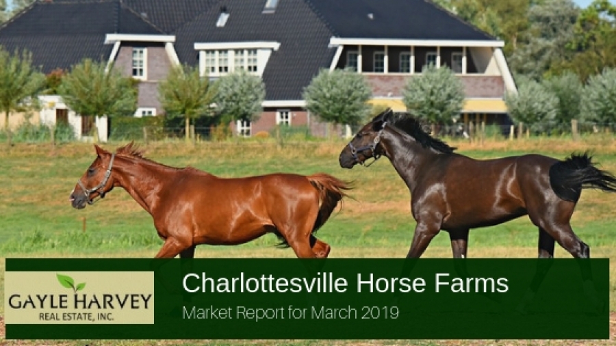 Charlottesville Horse Farms | Market Report for March 2019