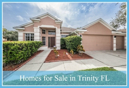 Homes for Sale in Trinity FL