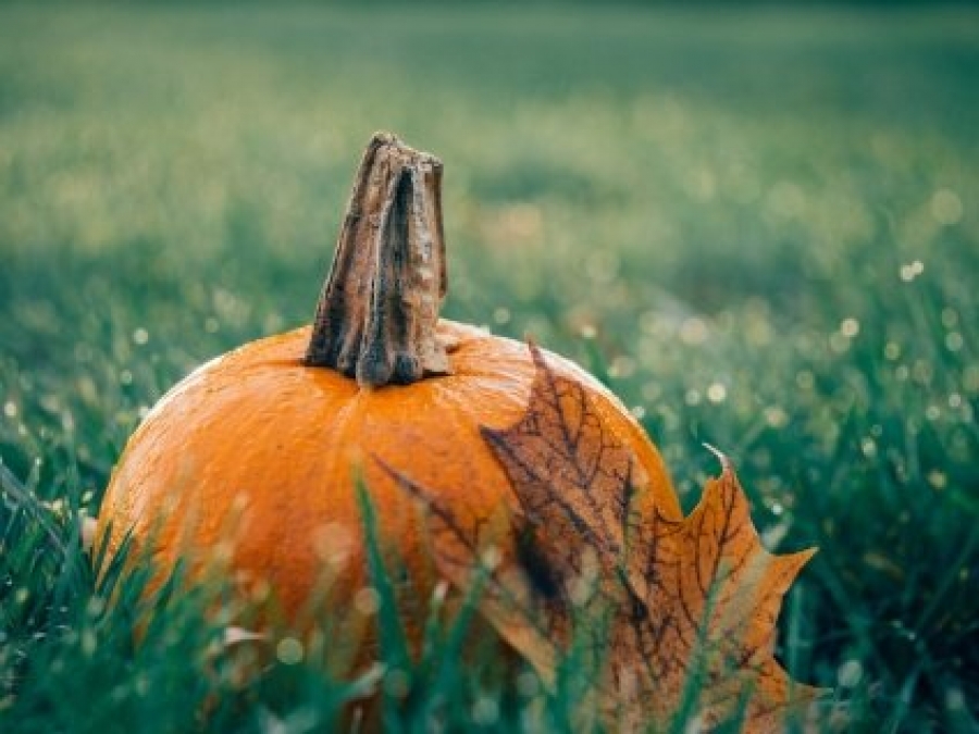 Rules for Halloween Décor When Selling Your House