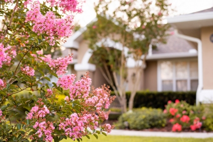 5 Easy Upgrades To Make To Your Property This Spring