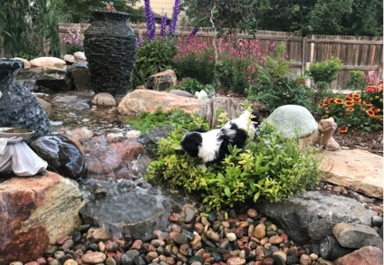 The Top 12 Reasons To Consider A Pondless Waterfall For Your Very Own Backyard