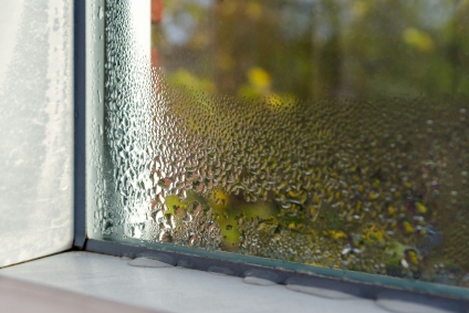 Got A Damaged Window? Should You Repair Or Replace It?