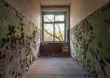 Dealing with Mold Damage: 6 Essential Remediation Strategies