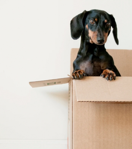 Tips For Moving In to Your New Home