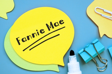What Is Fannie Mae?