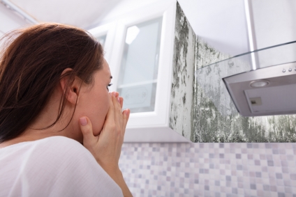 How to Properly Remove Mold Before Selling your Home